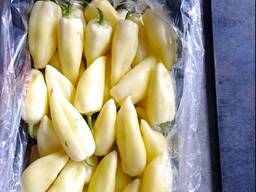 Перец Бьянка прямой экспорт из Турции