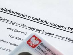 Песель за 10 минут