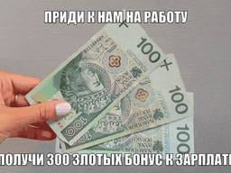 Платим бонус за трудоустройство в нашей фирме 300 злотых ПОЛЬША