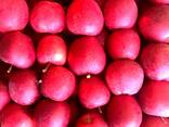 Jabłka pochodzenie polskie z chłodni - фото 2