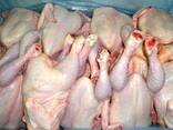 Польские мороженные тушки цыплят 1.1кг шт. без шей и потрохов, голые, в картоне 10 шт. - zdjęcie 1