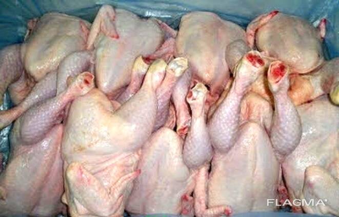 Польские мороженные тушки цыплят 1.1кг шт. без шей и потрохов, голые, в картоне 10 шт.
