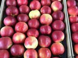 Польские яблоки, Клубника