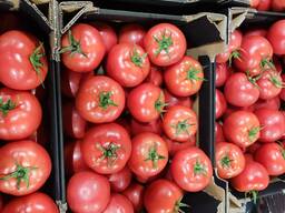 Польский Томат розовый, красный, томат "сливка", томат черри