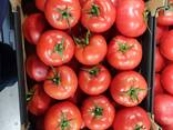 Польский Томат розовый, красный, томат "сливка", томат черри - фото 2