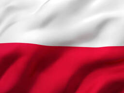 Польский язык онлайн