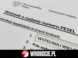 Получение / восстановление номера PESEL / PESEL UKR