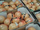 Яблоки Польша - фото 3