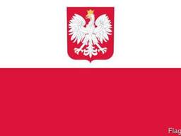 Помощь в оформлении Польских документов