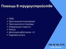 Помощь в трудоустройству