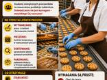 Pracownik na fabryce ciastek - zdjęcie 1