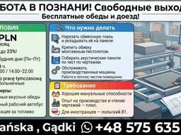 Pracownik produkcji PRACA W POZNANIU