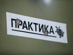Практика для студентів | Стажування для студентів
