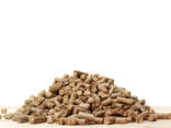 Premium ENplus-A1/A2 Wood Pellets - zdjęcie 1