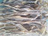 Premium Quality Dried Bombay Duck Fish / Dried Cod Fish Tosk Cod Fish - zdjęcie 2
