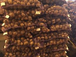 Продам картофель