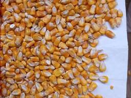 Wyprzedaż zbiorów.