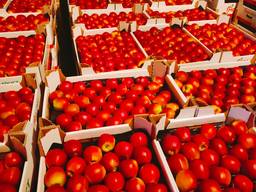 Продам на Казахстан яблоки из Польши