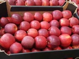 Продам яблоко Jonaprince оптом