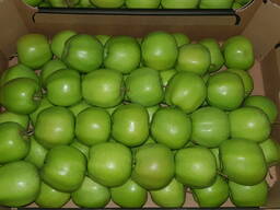 Продам яблоко MUTSU и RED DELICIOUS