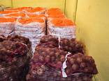 Продажа фруктов и овощей ОПТ - фото 3