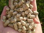 Production of fuel pellets from straw - фото 1