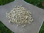 Production of fuel pellets from straw - фото 2