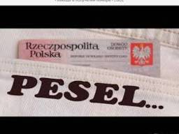 Прописка (meldunek) пэсэль (PESEL)