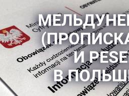 Перевод документов 24 часа, tłumaczenie