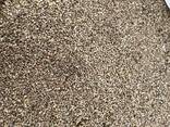 Proso japońskie Pajza / Barnyard millet seeds food - zdjęcie 1