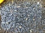 Пшениця 1-2й клас, соя, врожай 2022, кукурудза (Wheat, corn, soybean, harvest 2022)