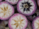 Purple Star Apple from Vietnam - фото 2