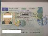 Рабочая виза в Польшу на полгода, 9 месяцев и год - zdjęcie 1
