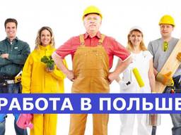 РАБОТА И ЛЕГАЛИЗАЦИЯ