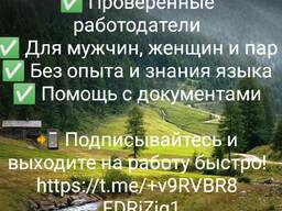 Работа в Польше Актуальные вакансии каждый день Проверенные работодатели Для муж