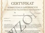 Sertyfikat kompetencji zawodowych SKZ - zdjęcie 1