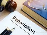 Снятие Депортации для любой страны ЕС - фото 1