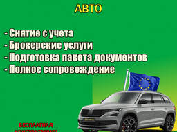 Сколько стоит снять авто с учета в польше