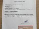 Справка студента/Довiдка студента - zdjęcie 1