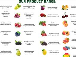 Sprzedam koncentrat soku jabłkowego 67-70 brix, kwasowość 2,3-2,5,