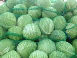 Свежие овощи из Польши