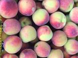 Sweet and juicy Peach, Nectarine and Cherry time. - фото 3