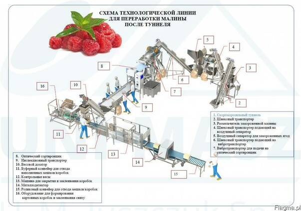 Технологическая линия для переработки малины - грис