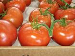 Томат красный, розовый, сливка, свежий. Урожай 2021г.  и РБ - фото 2
