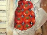 Томаты Помидоры Узбекистан Ломия 1955 - фото 2