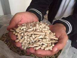 Buy ENplus A1 Wood Pellets