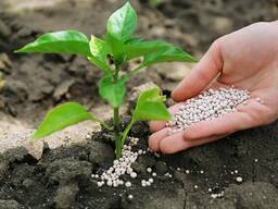 Mocznik, nawozy mineralne hurtowo