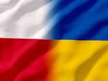 Профессиональный переводчик с 10-летним опытом: Польский - Украинский/Русский - фото 1