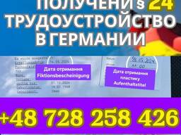 Услуги легализация