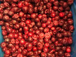 Вишня без косточки